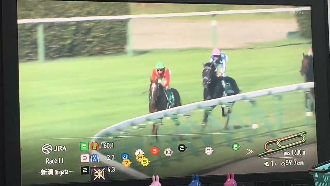 【競馬実況動画2025】第45回新潟2歳S リアライズシリウス (津村明秀)