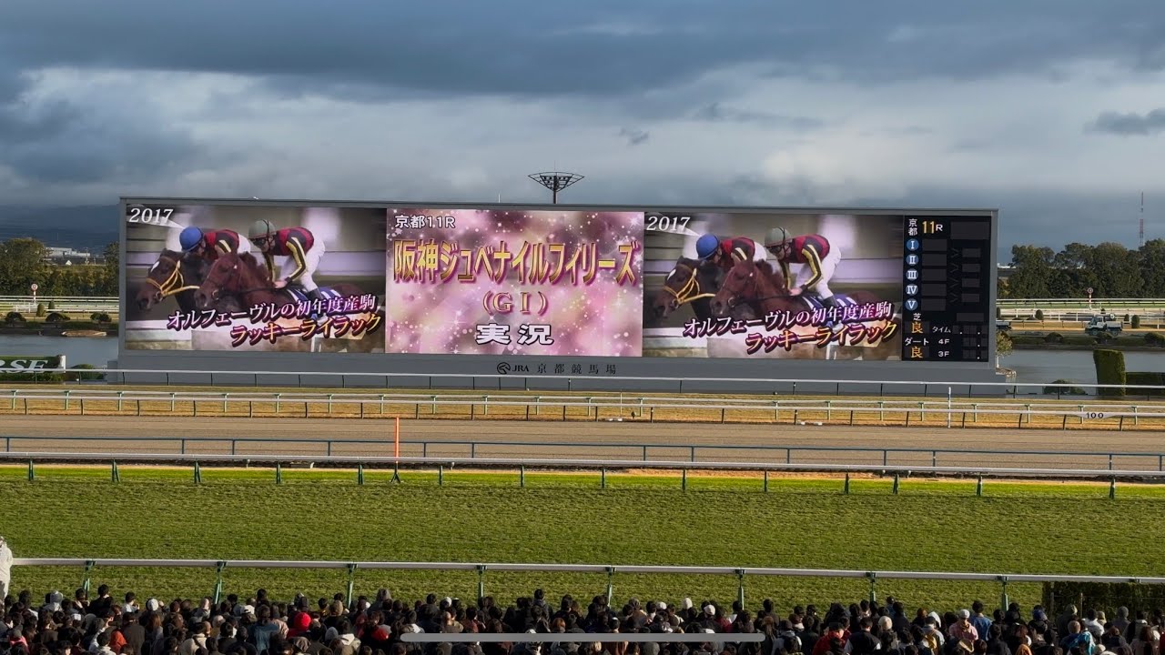 【現地】2024年 阪神JF レース前映像〜ファンファーレ アルマヴェローチェ