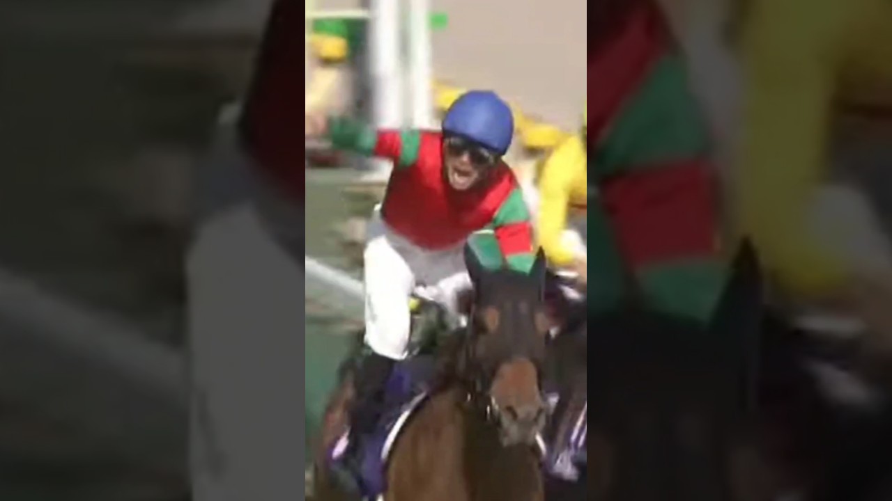 #shorts 2013 NHKマイルカップ #マイネルホウオウ #柴田大知