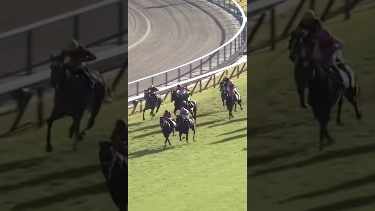 #shorts 2023 菊花賞 #ドゥレッツァ  #ルメール