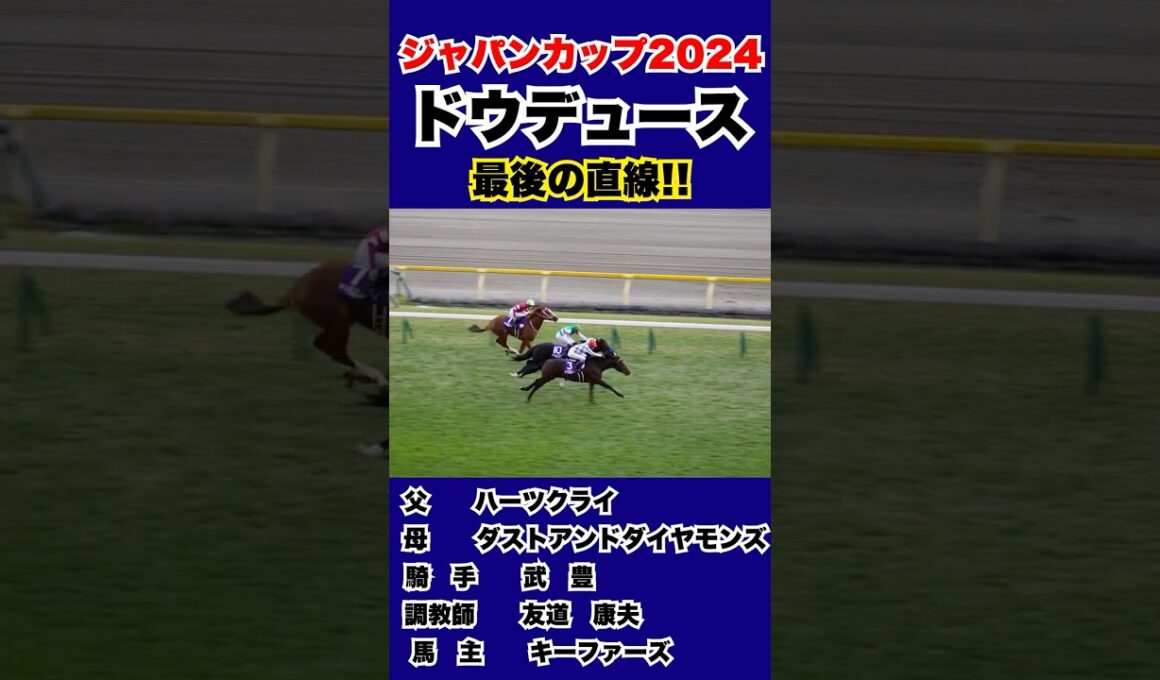 【ドウデュース】ジャパンカップ2024　最後の直線