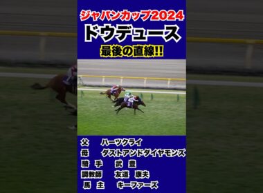 【ドウデュース】ジャパンカップ2024　最後の直線