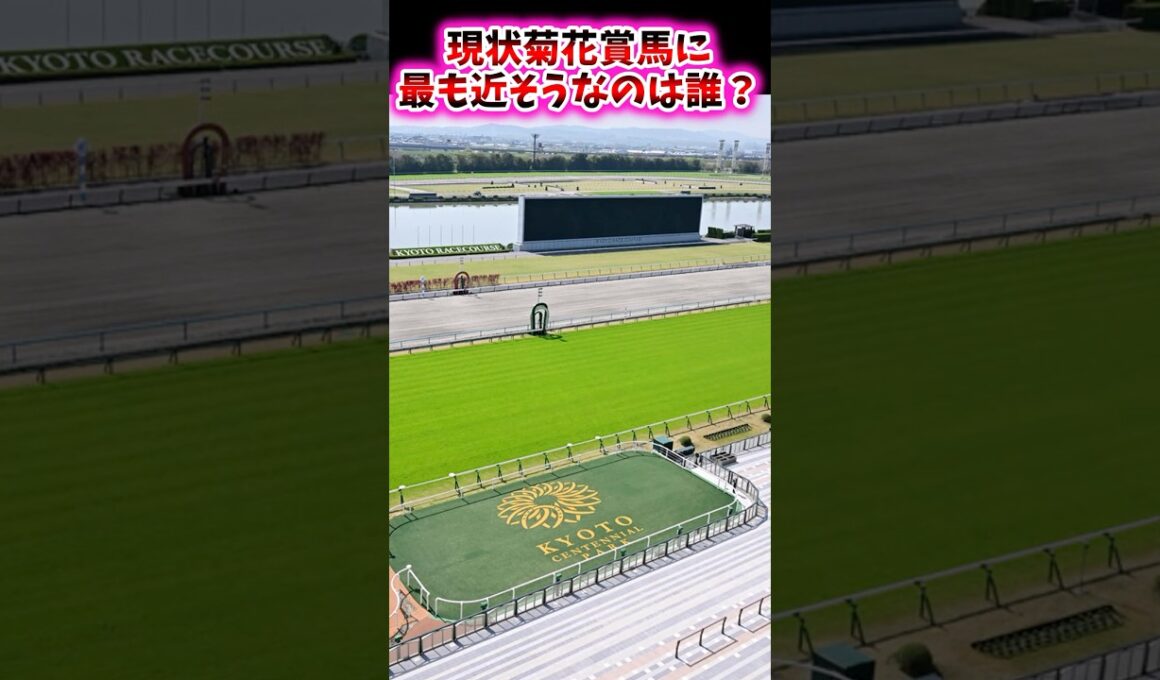 現状菊花賞に最も近そうな馬は誰？【競馬反応集】 #菊花賞