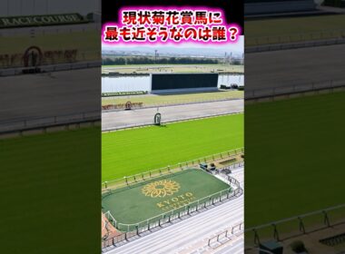 現状菊花賞に最も近そうな馬は誰？【競馬反応集】 #菊花賞