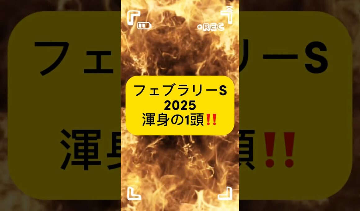 日曜開催のフェブラリーS渾身の1頭はサンライズジパング‼️買い目は前日の土曜日に挙げます！あの人気馬は買わない予定…#フェブラリーs #競馬 #競馬予想動画 #フェブラリーステークス2025#競馬好き
