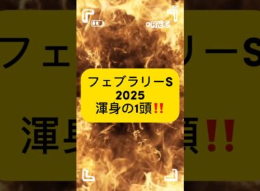日曜開催のフェブラリーS渾身の1頭はサンライズジパング‼️買い目は前日の土曜日に挙げます！あの人気馬は買わない予定…#フェブラリーs #競馬 #競馬予想動画 #フェブラリーステークス2025#競馬好き