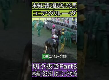 エアグルーヴ　天皇賞（秋）　切り抜きPart3　#競馬　#ドキュメンタリー 　#エアグルーヴ