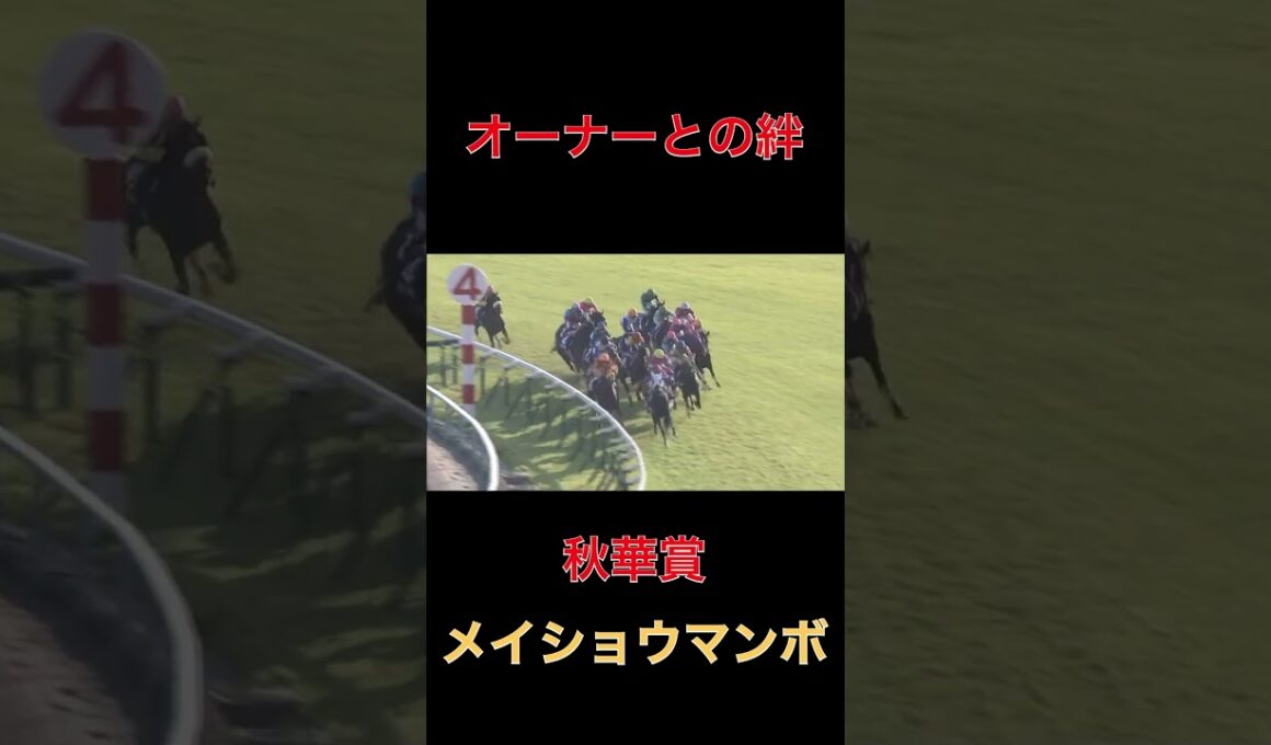 オーナーとの絆メイショウマンボ【秋華賞】