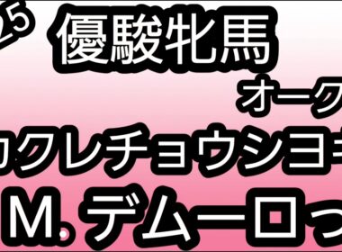 【優駿牝馬(オークス) 2025】悩んだらミルコ。