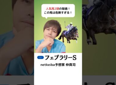 【フェブラリーステークス2025】ペプチドナイルは危険な人気馬！調教ひと息のレモンポップに迫っただけで過信は禁物！コスタノヴァ、ミッキーファイトを評価！#shorts #フェブラリーs #競馬予想