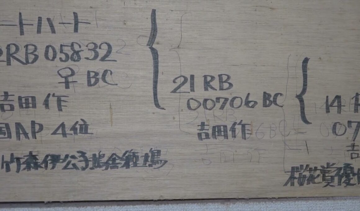 2025年8月26日撮影　竹森伊公子鳩舎　●2025年令和7年度　日本鳩レ－ス協会8月号　会長賞　●北陸　桜花賞
