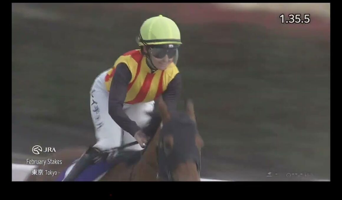 【女性初のJRA平地G1勝利】東京11R フェブラリーS《G1》