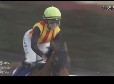【女性初のJRA平地G1勝利】東京11R フェブラリーS《G1》