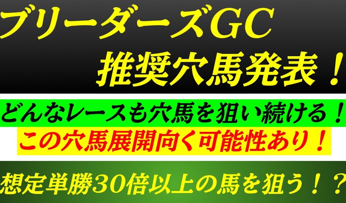 【ブリーダーズゴールドカップ2025】推奨穴馬発表！展開からこの穴馬大激走あるぞ！単勝30倍越えの穴馬を狙う！？