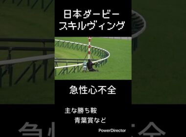 名馬たちに起きた悲劇② 宝塚記念　日本ダービー　高松宮杯　ドバイワールドカップ