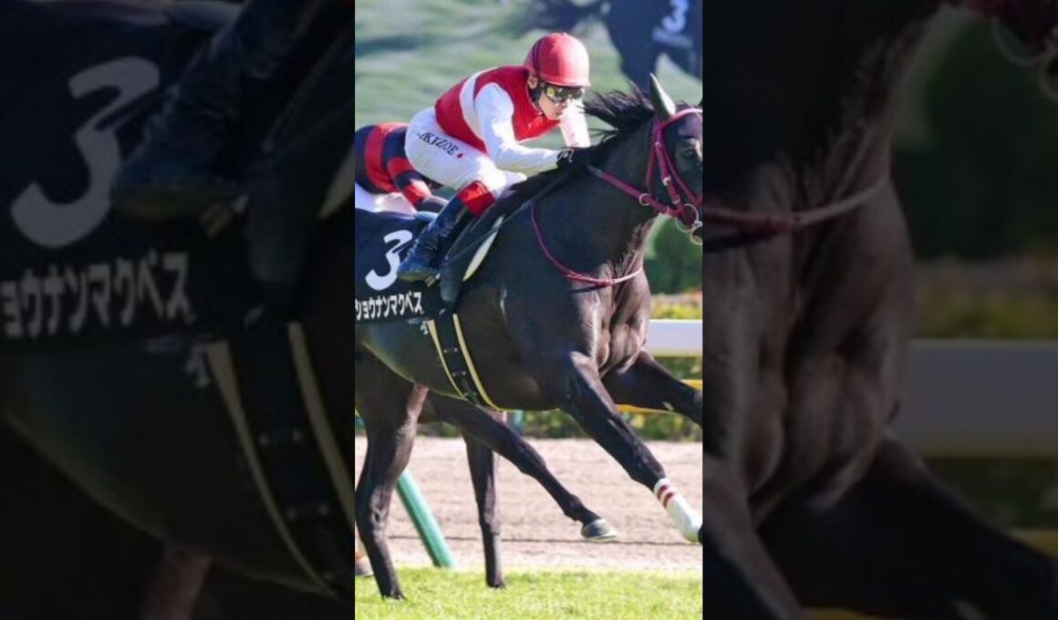 武豊騎手が20年ぶりのエリザベス女王杯制覇なるか 友道厩舎の4歳馬と2戦連続タッグ