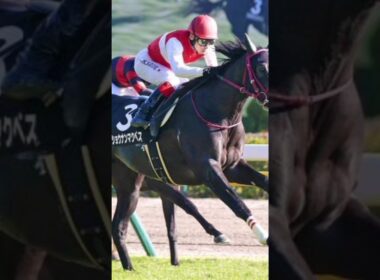 武豊騎手が20年ぶりのエリザベス女王杯制覇なるか 友道厩舎の4歳馬と2戦連続タッグ