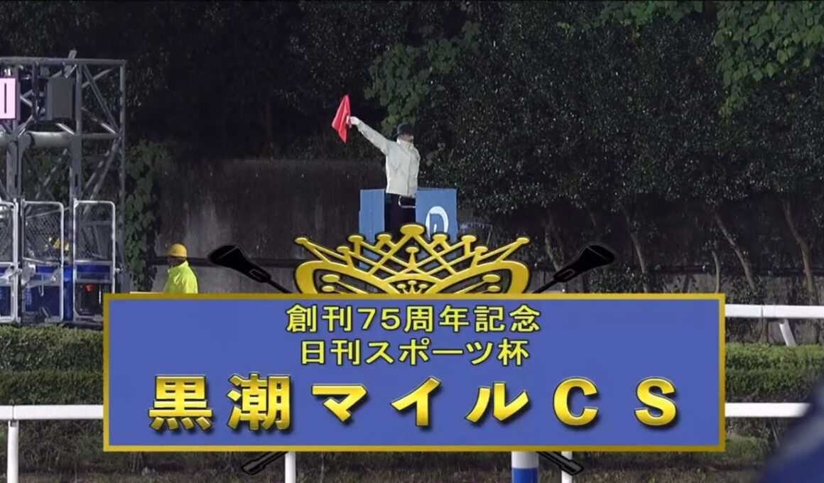 【第20回 黒潮マイルチャンピオンシップ (重賞)】2024 11/10 高知競馬場