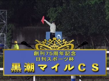 【第20回 黒潮マイルチャンピオンシップ (重賞)】2024 11/10 高知競馬場