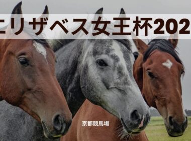 エリザベス女王杯2024京都競馬場へ行ってみた