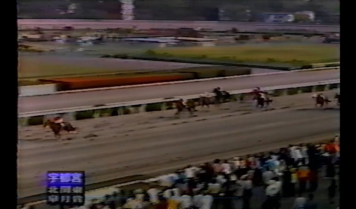 第2回 北関東皐月賞