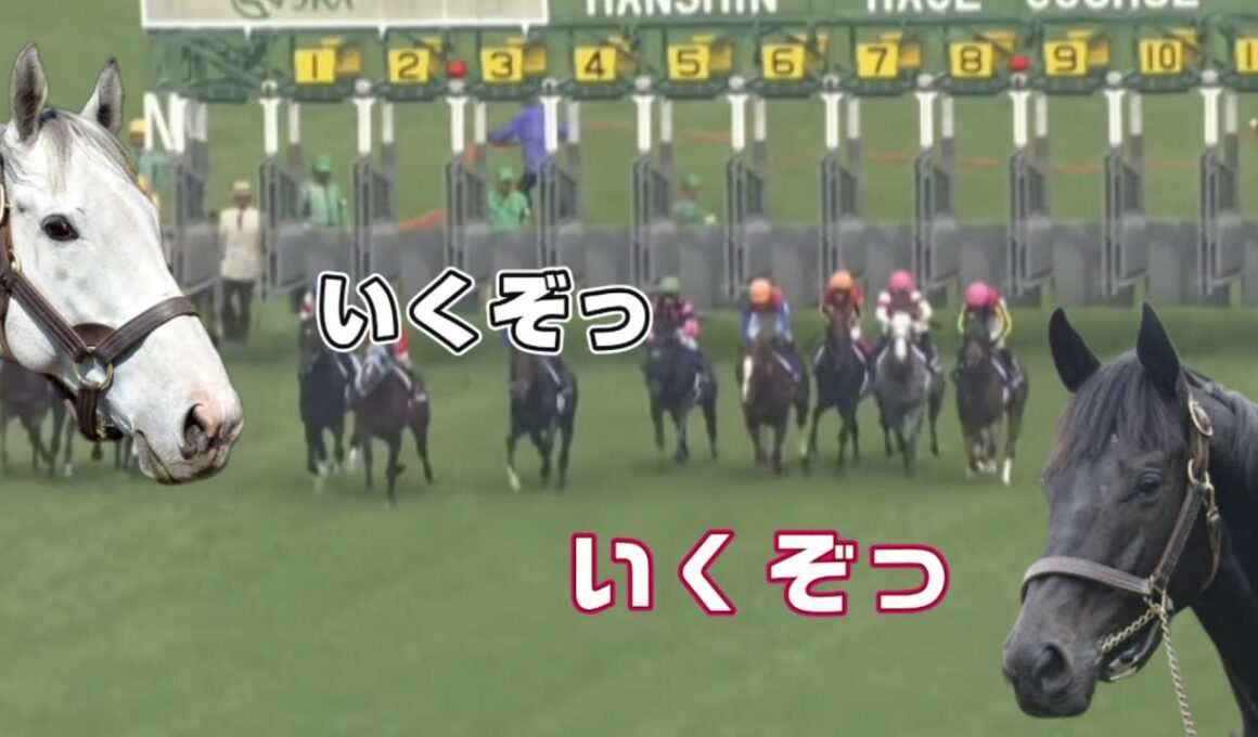 『ゴルシとまめちんの宝塚記念舞台裏』