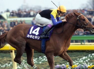 【Special Times】フェブラリーステークス編