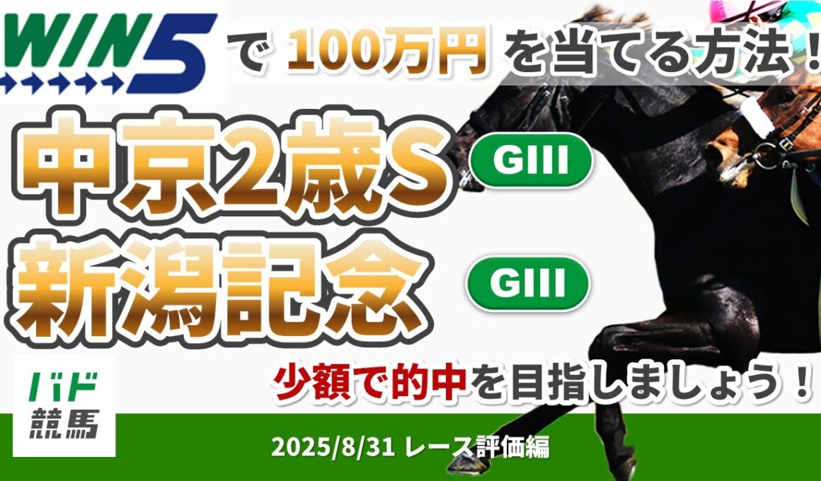 【WIN5で100万円レース評価編】2025年8月31日（日）中京2歳S・新潟記念【競馬】