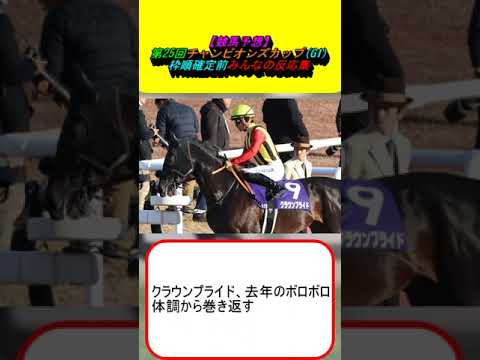 【競馬予想】第25回チャンピオンズカップG1 枠順確定前みんなの反応集 #競馬 #競馬予想 #レモンポップ #ウィルソンテソーロ #サンライズジパング #ペプチドナイル