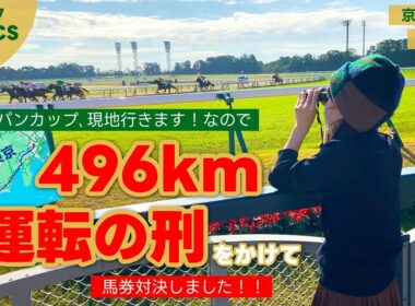 【マイルチャンピオンシップ】ジャパンカップ現地行きます！なのでどちらが東京まで運転か対決しました！【京都競馬場】