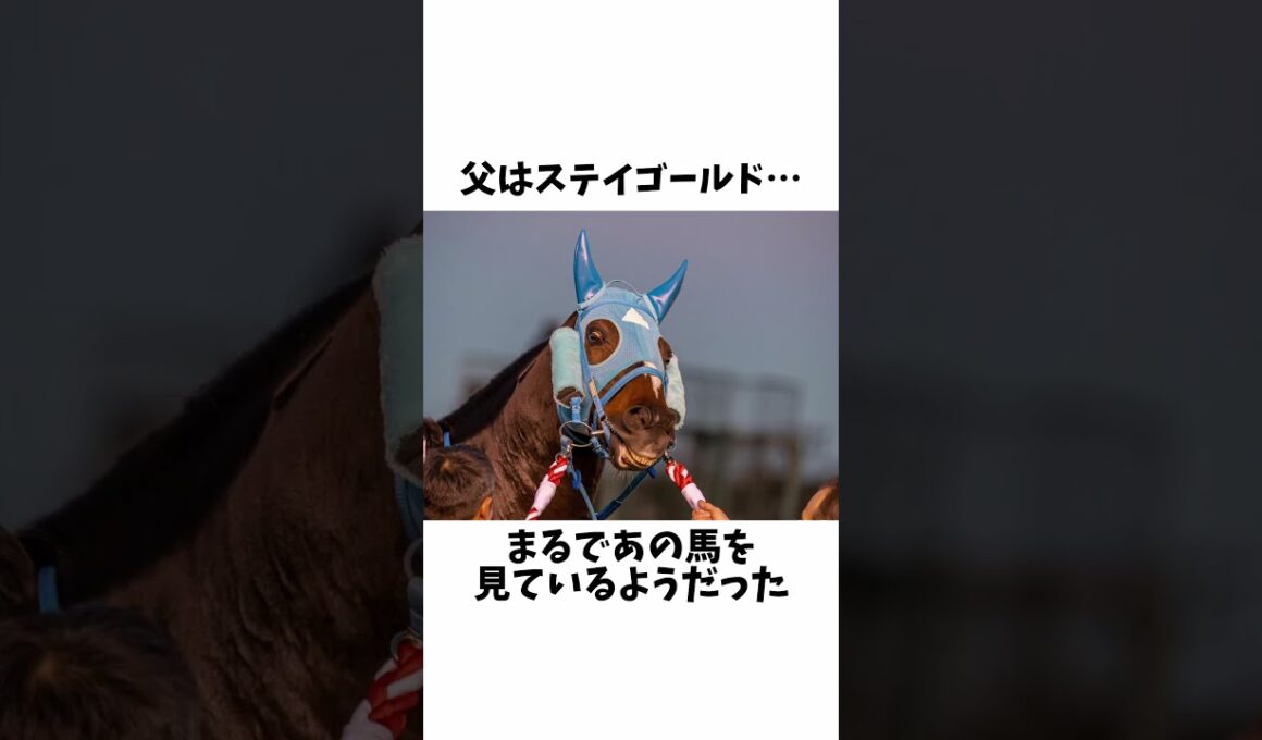 【ちらつく影…】オジュウチョウサンの雑学#shorts #競馬予想 #競馬 #オジュウチョウサン