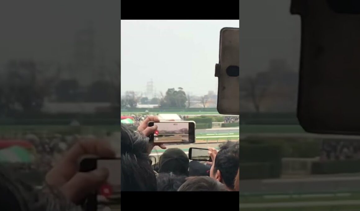 #中山競馬場 #有馬記念#リスグラシュー