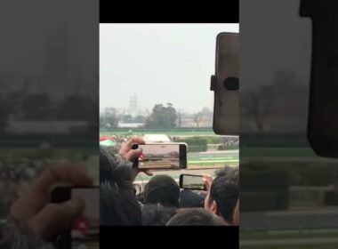 #中山競馬場 #有馬記念#リスグラシュー