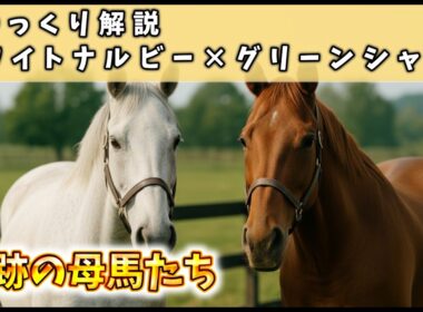 【ゆっくり解説】奇跡の母馬たち～ホワイトナルビーとグリーンシャトー