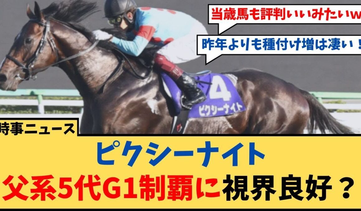 【競馬】「ピクシーナイト 父系5代G1制覇に向けて視界良好？」に対するコメント集【反応集】