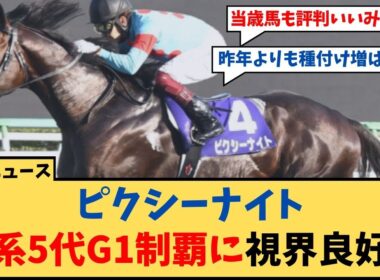 【競馬】「ピクシーナイト 父系5代G1制覇に向けて視界良好？」に対するコメント集【反応集】