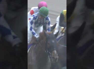 #shorts 2023 NHKマイルカップ #シャンパンカラー #内田博幸