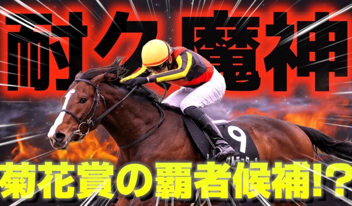 【耐久魔神】菊花賞を勝つのはこの馬かもしれない【日本海S】