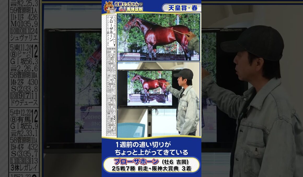 【2025年 天皇賞・春】ブローザホーン馬体診断　 #shorts #競馬 #予想