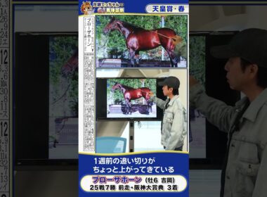 【2025年 天皇賞・春】ブローザホーン馬体診断　 #shorts #競馬 #予想
