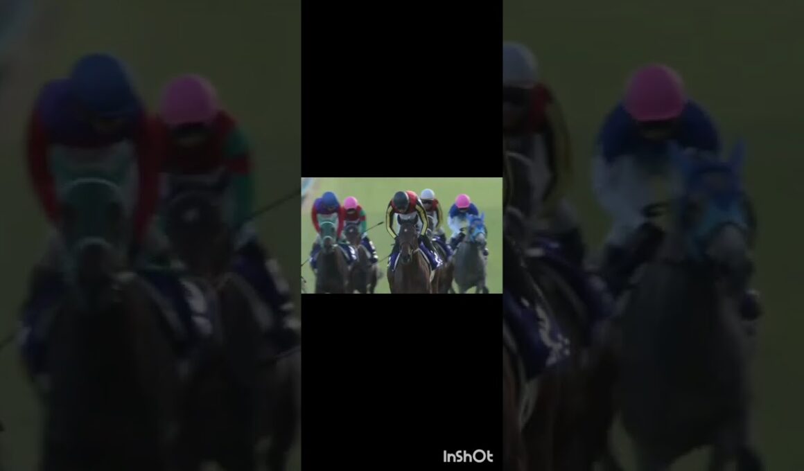 朝日杯フューチュリティステークスがやってくる🐎