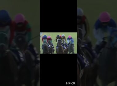 朝日杯フューチュリティステークスがやってくる🐎