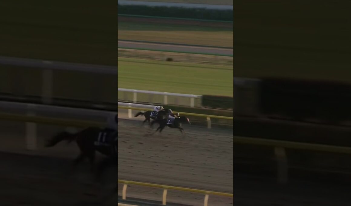 #shorts 2007 チャンピオンズカップ（ジャパンカップダート）#ヴァーミリアン #武豊