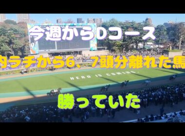 朝日杯フューチュリティステークス(GⅠ)の予想
