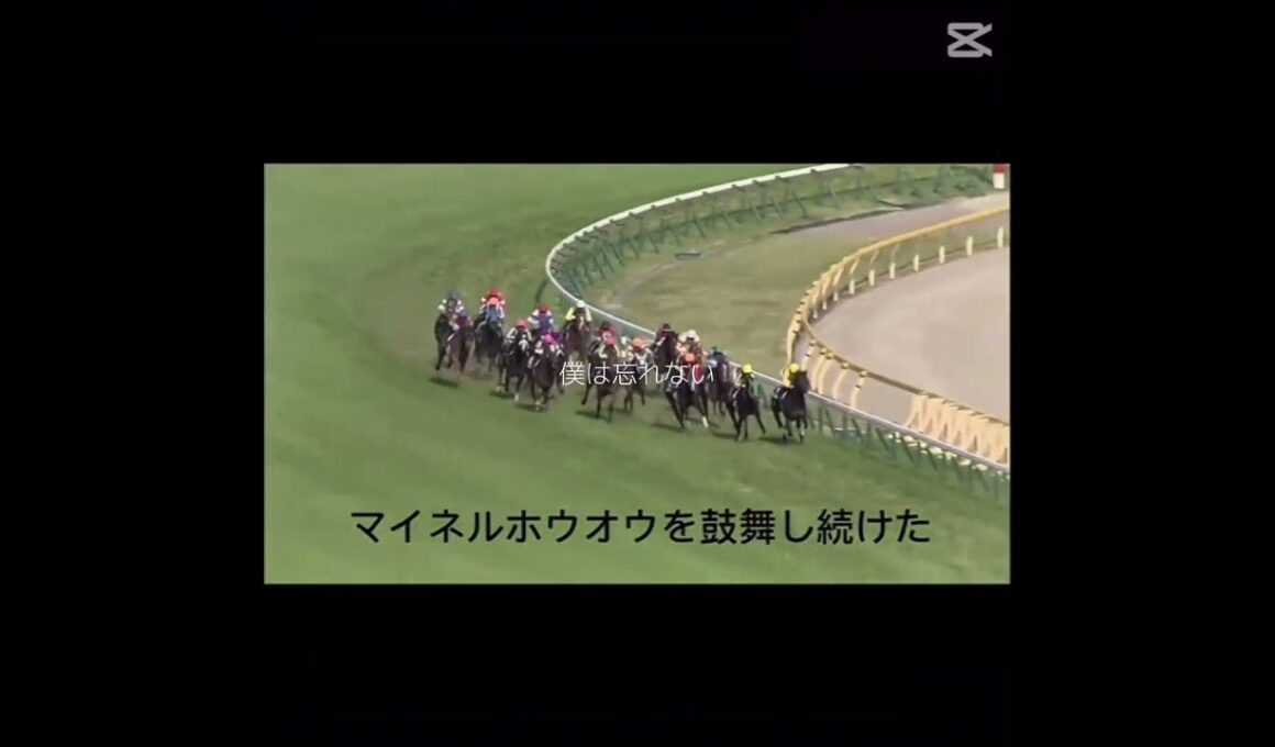 新潟記念　#柴田大知騎手　#コスモフリーゲン　#2013年5月5日NHKマイルC