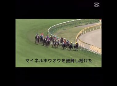 新潟記念　#柴田大知騎手　#コスモフリーゲン　#2013年5月5日NHKマイルC