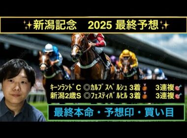 ✨新潟記念2025 最終予想✨
