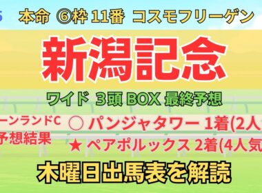 ◎ コスモフリーゲン 「新潟記念 2025 ワイド3頭BOX3点 予想」 #新潟記念