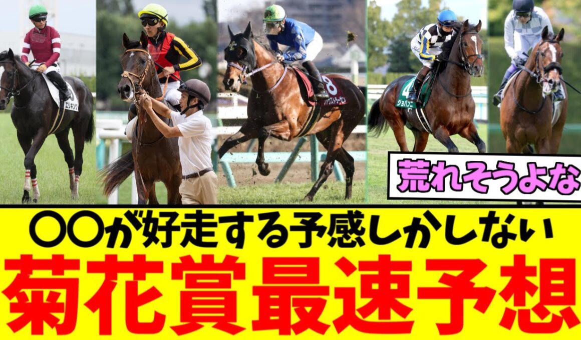 『今年の菊花賞、誰が勝ちそう？』に対するみんなの反応集【競馬/ウマ娘】