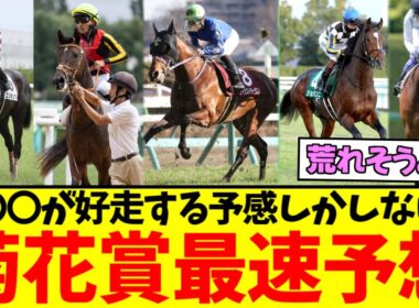 『今年の菊花賞、誰が勝ちそう？』に対するみんなの反応集【競馬/ウマ娘】
